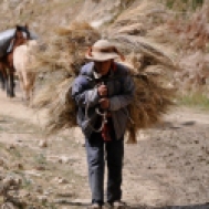 Patacancha, Peru (2010)