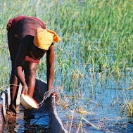 Okavango Delta, Botswana (2004)